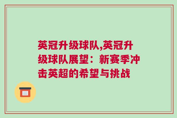 英冠升級球隊,英冠升級球隊展望：新賽季沖擊英超的希望與挑戰
