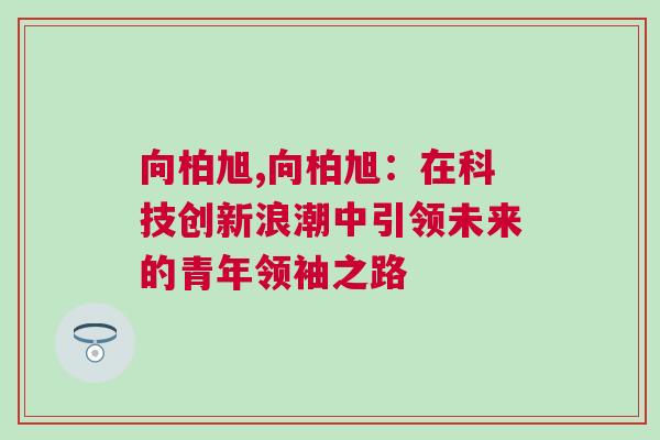 向柏旭,向柏旭：在科技創新浪潮中引領未來的青年領袖之路