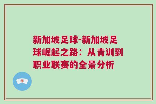 新加坡足球-新加坡足球崛起之路：從青訓(xùn)到職業(yè)聯(lián)賽的全景分析