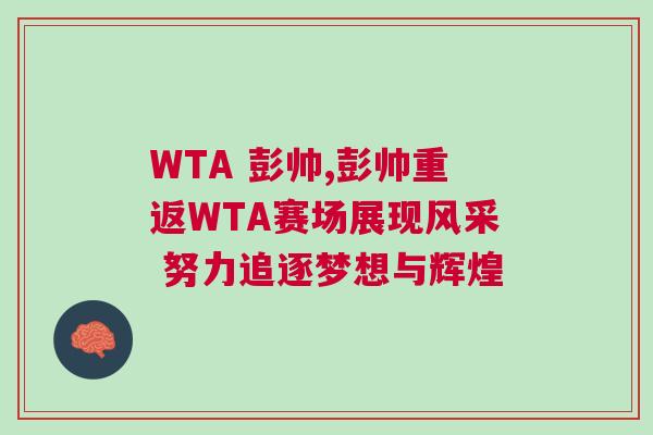 WTA 彭帥,彭帥重返WTA賽場展現(xiàn)風采 努力追逐夢想與輝煌