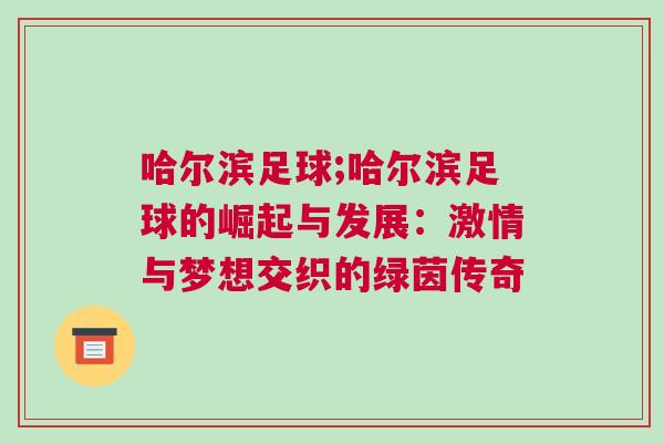 哈爾濱足球;哈爾濱足球的崛起與發(fā)展：激情與夢想交織的綠茵傳奇