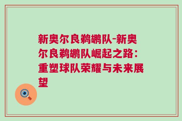 新奧爾良鵜鶘隊-新奧爾良鵜鶘隊崛起之路：重塑球隊榮耀與未來展望
