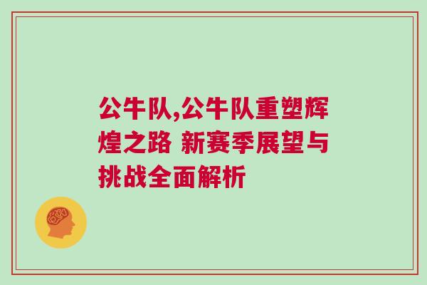 公牛隊,公牛隊重塑輝煌之路 新賽季展望與挑戰全面解析