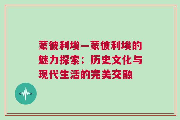 蒙彼利埃—蒙彼利埃的魅力探索：歷史文化與現代生活的完美交融