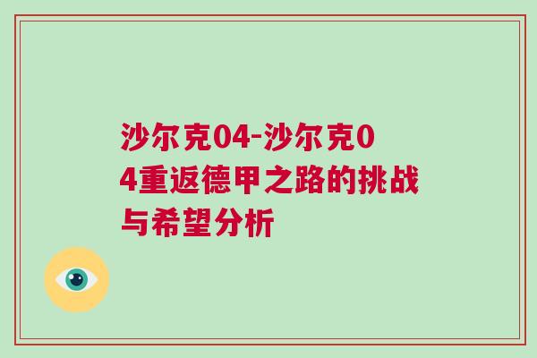 沙爾克04-沙爾克04重返德甲之路的挑戰與希望分析