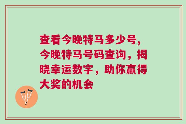 查看今晚特馬多少號,今晚特馬號碼查詢，揭曉幸運數字，助你贏得大獎的機會