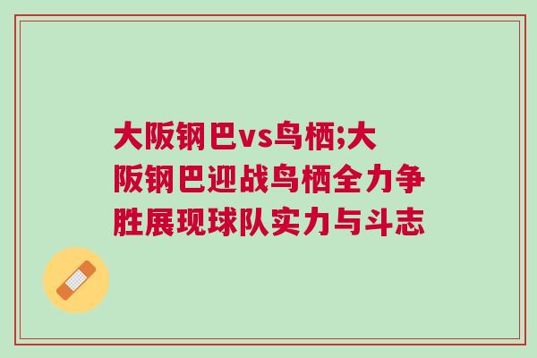 大阪鋼巴vs鳥棲;大阪鋼巴迎戰鳥棲全力爭勝展現球隊實力與斗志