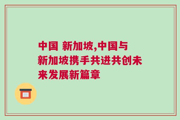 中國 新加坡,中國與新加坡攜手共進共創未來發展新篇章