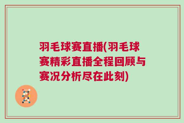 羽毛球賽直播(羽毛球賽精彩直播全程回顧與賽況分析盡在此刻)