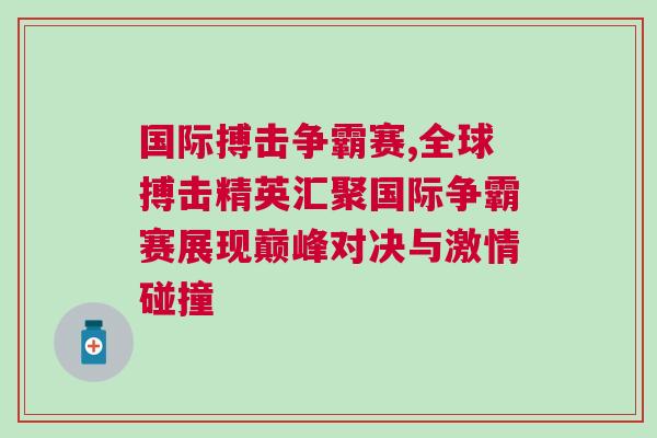 國際搏擊爭霸賽,全球搏擊精英匯聚國際爭霸賽展現巔峰對決與激情碰撞