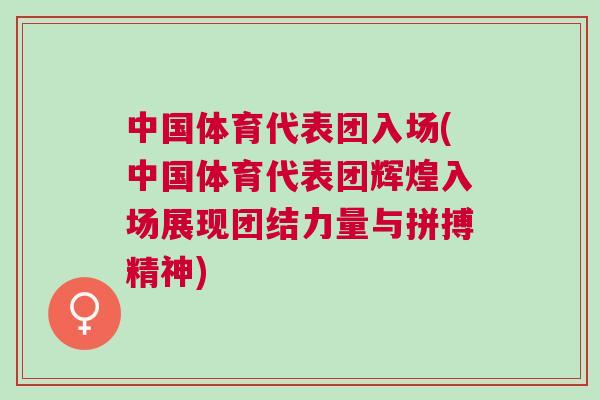 中國體育代表團入場(中國體育代表團輝煌入場展現團結力量與拼搏精神)