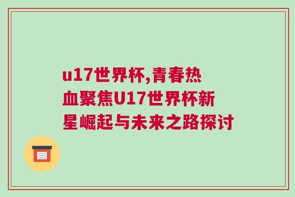 u17世界杯,青春熱血聚焦U17世界杯新星崛起與未來之路探討