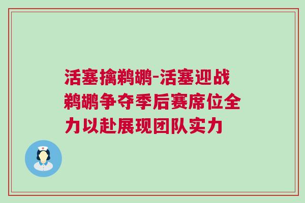 活塞擒鵜鶘-活塞迎戰鵜鶘爭奪季后賽席位全力以赴展現團隊實力