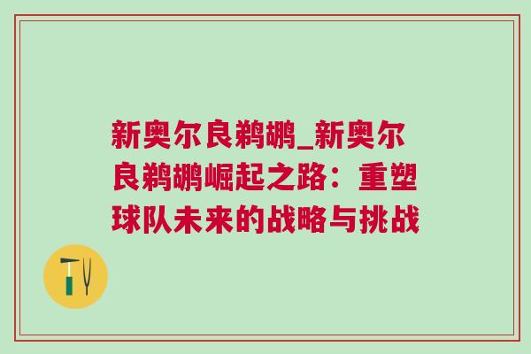 新奧爾良鵜鶘_新奧爾良鵜鶘崛起之路：重塑球隊(duì)未來(lái)的戰(zhàn)略與挑戰(zhàn)