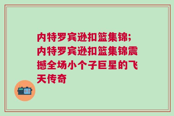 內特羅賓遜扣籃集錦;內特羅賓遜扣籃集錦震撼全場小個子巨星的飛天傳奇