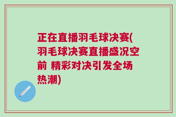 正在直播羽毛球決賽(羽毛球決賽直播盛況空前 精彩對決引發全場熱潮)