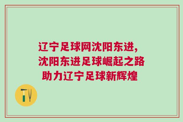 遼寧足球網(wǎng)沈陽東進,沈陽東進足球崛起之路 助力遼寧足球新輝煌