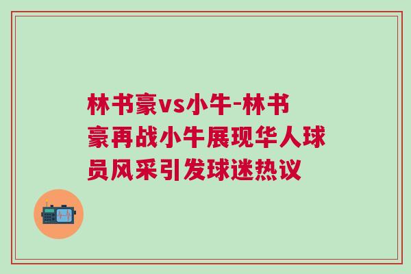 林書豪vs小牛-林書豪再戰(zhàn)小牛展現(xiàn)華人球員風采引發(fā)球迷熱議
